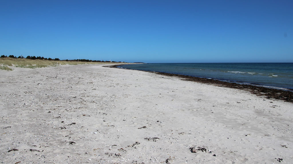 Grenaa strand er flere ganget kåret som en af Danmarks bedste strande.