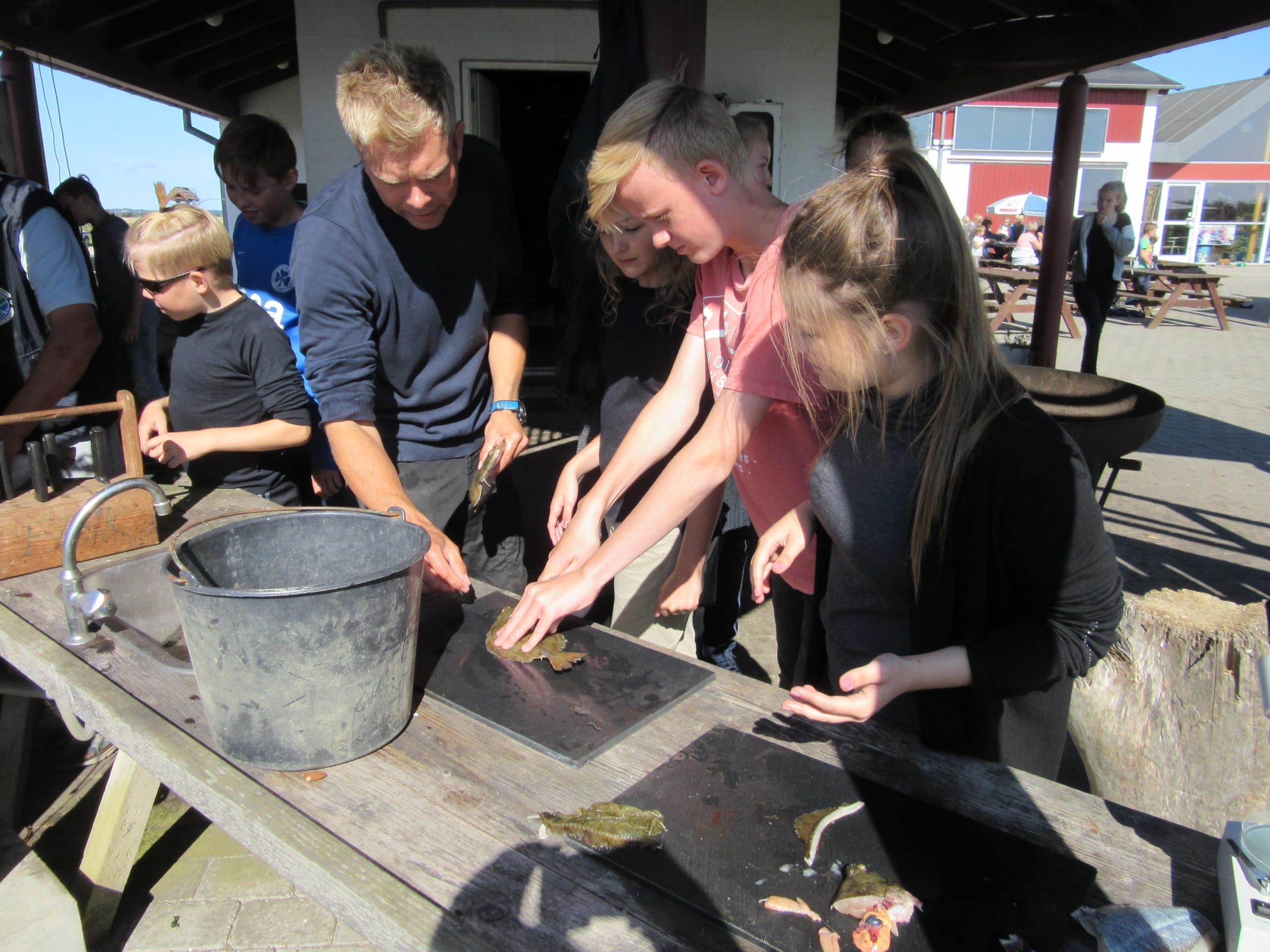 Lejrskole naturformidling