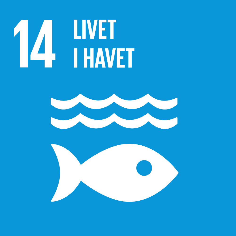 Verdensmål 14 - Livet i Havet