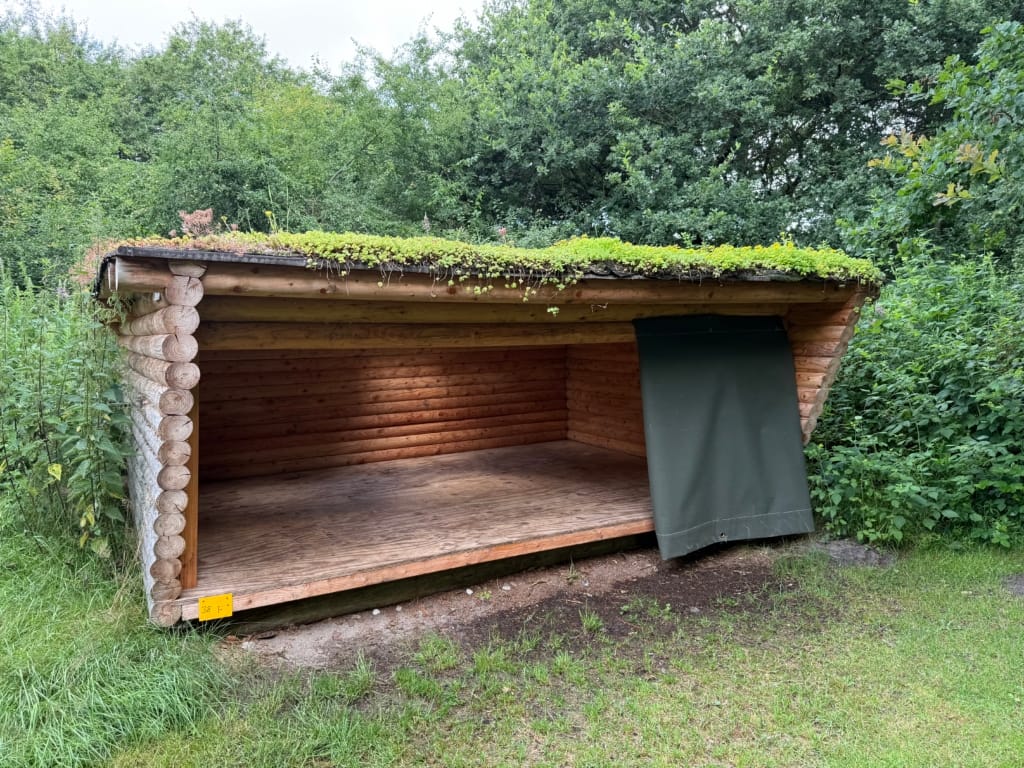 Shelter med ovenlysvindue