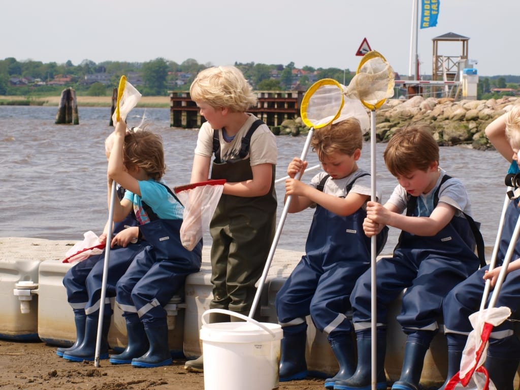 Livet på det lave vand undervisningsforløb