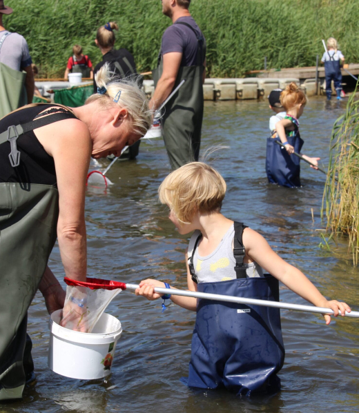 waders_3_generationer